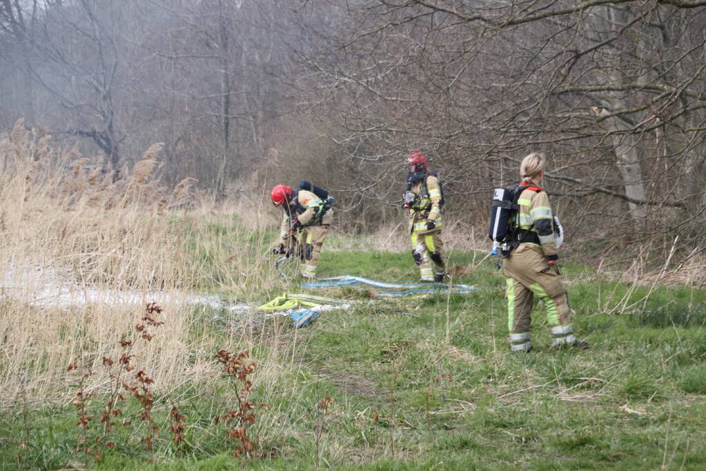 Stuk riet Meridiaanpark in brand