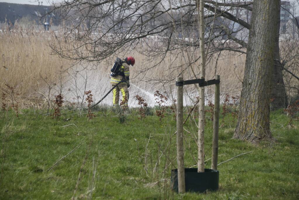 Stuk riet Meridiaanpark in brand
