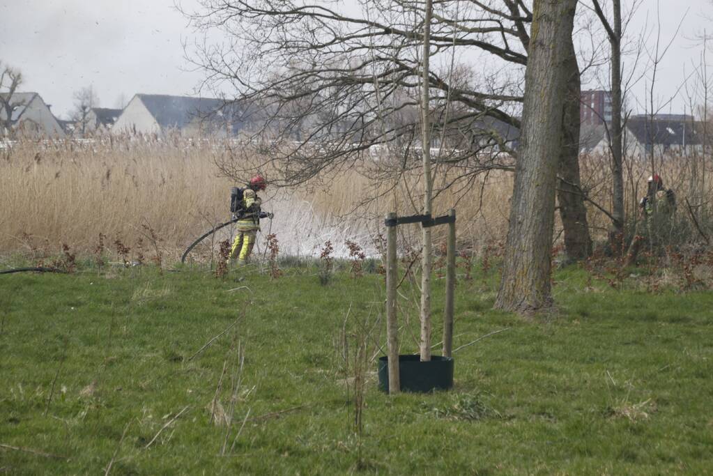 Stuk riet Meridiaanpark in brand