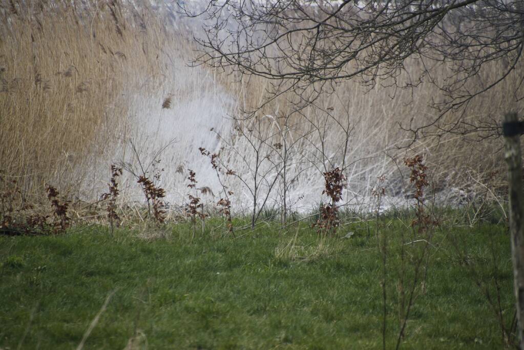 Stuk riet Meridiaanpark in brand