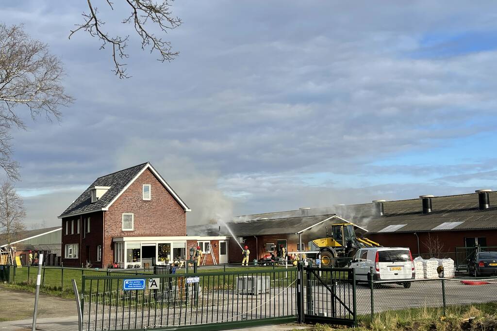 Grote brand in varkensstal