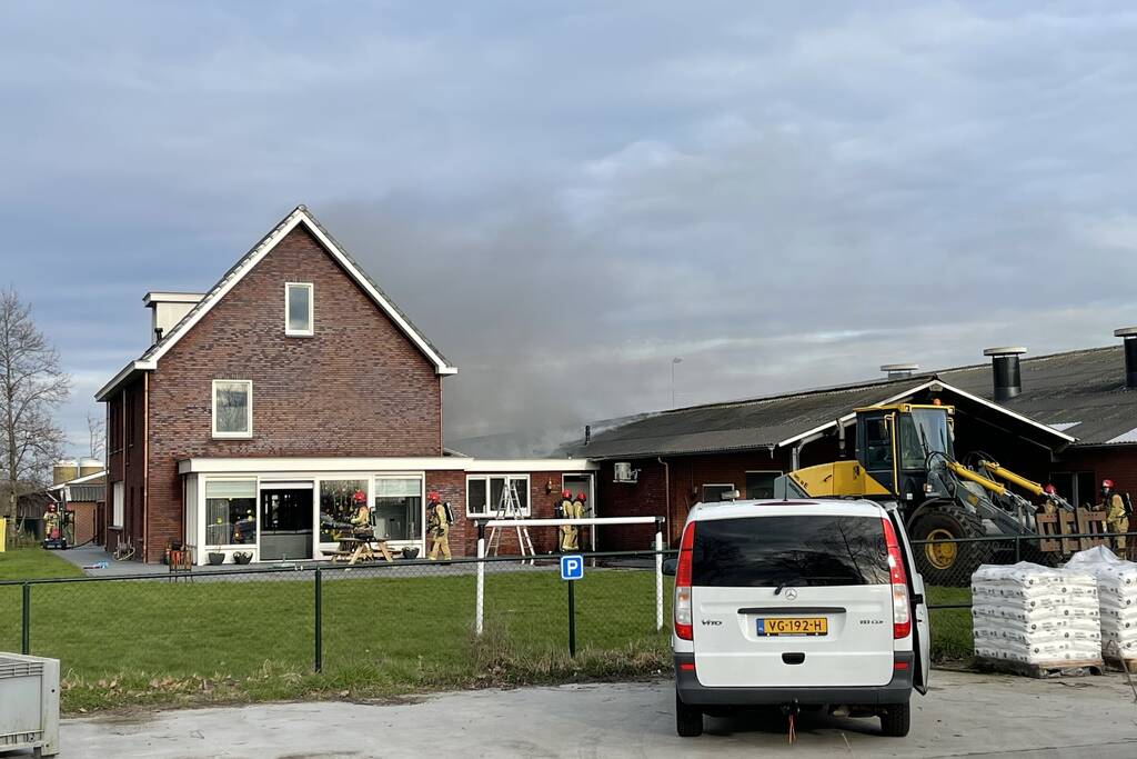 Grote brand in varkensstal