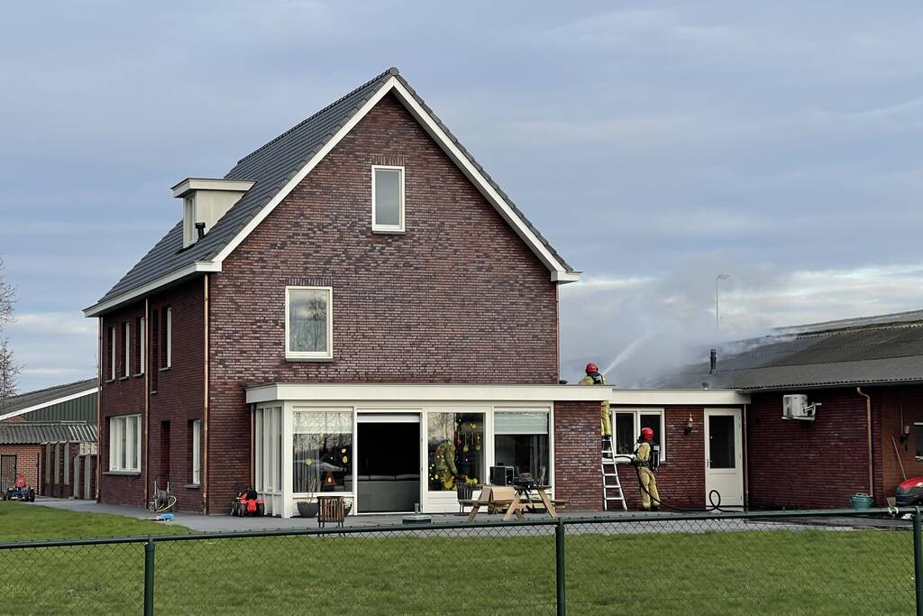 Grote brand in varkensstal
