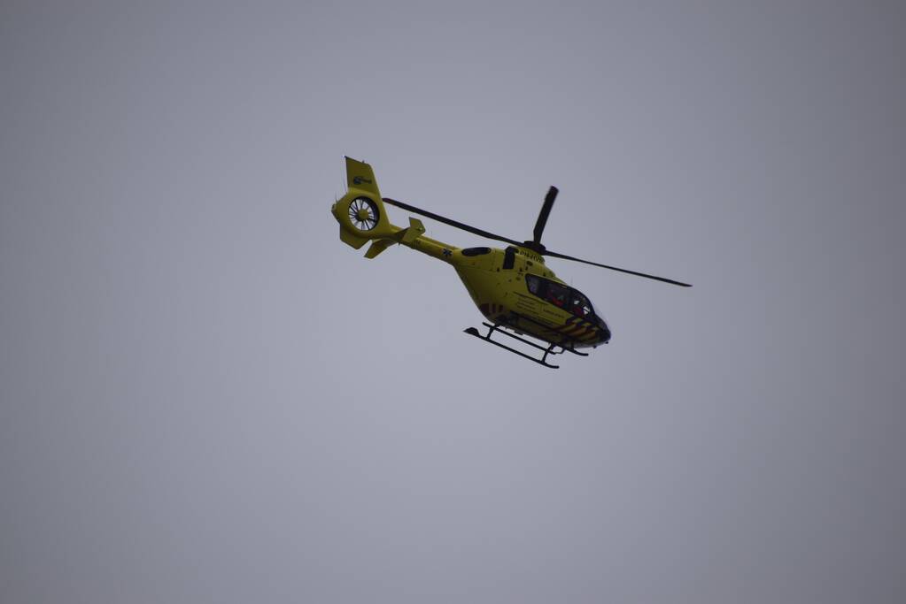 Twee gewonden bij bijtincident met hond