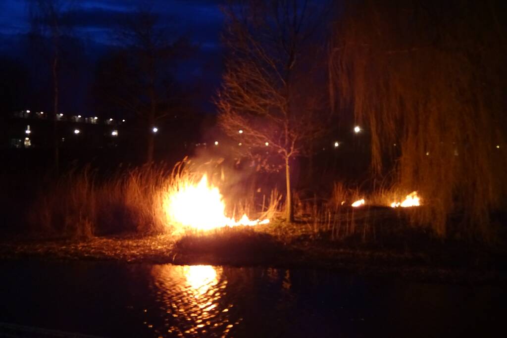Stuk riet in brand gestoken
