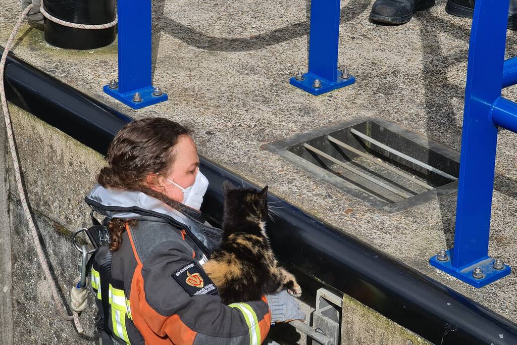 Brandweervrouw haalt kat uit sluistrap