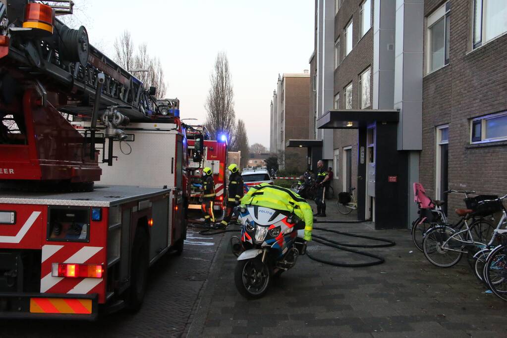 Brand in flatwoning