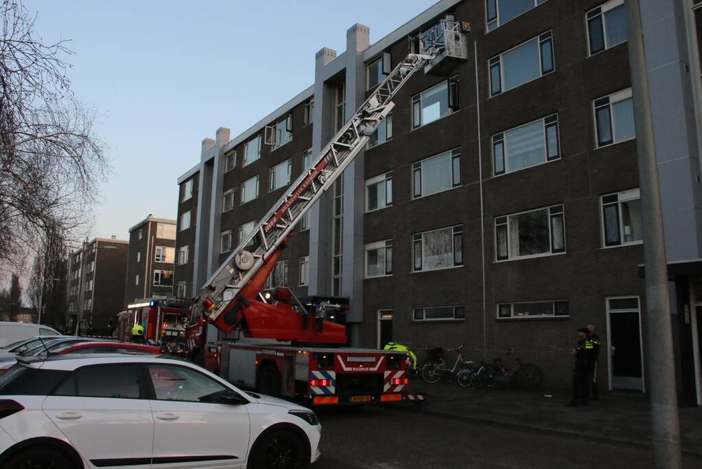 Brand in flatwoning