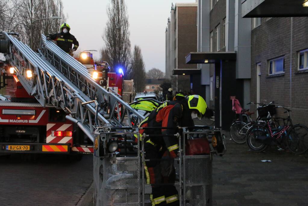 Brand in flatwoning
