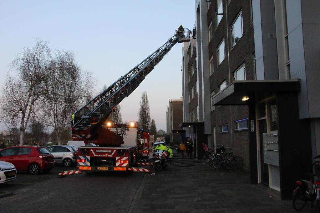 Brand in flatwoning