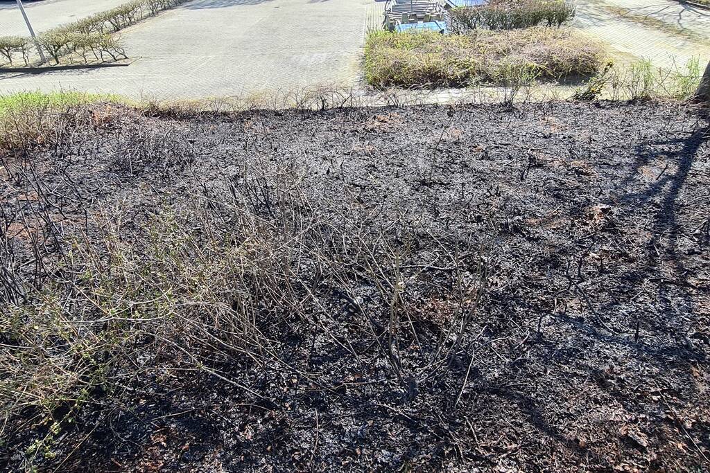 Brand ontstaan in berm