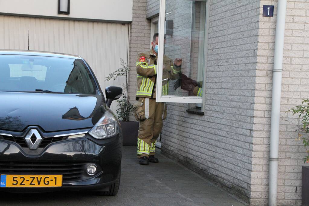 Vogel vast in schoorsteen