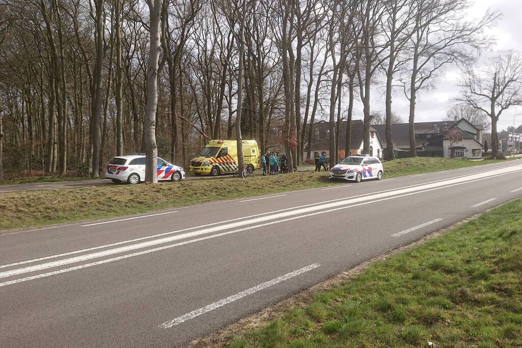 Wielrenners gewond bij botsing met wild zwijn