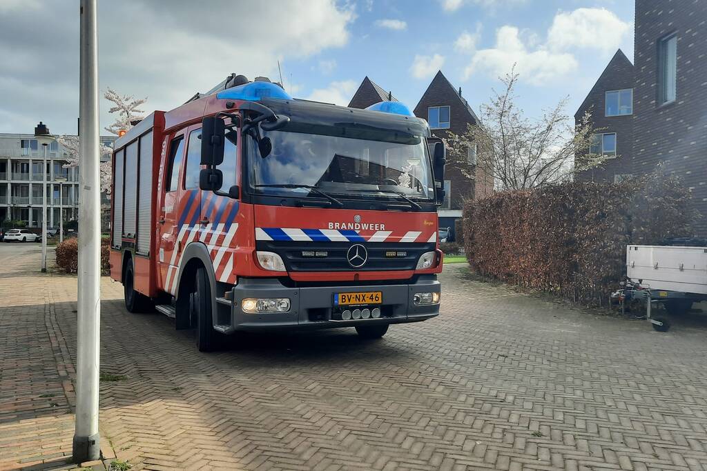 Twee ara's uit boom gered