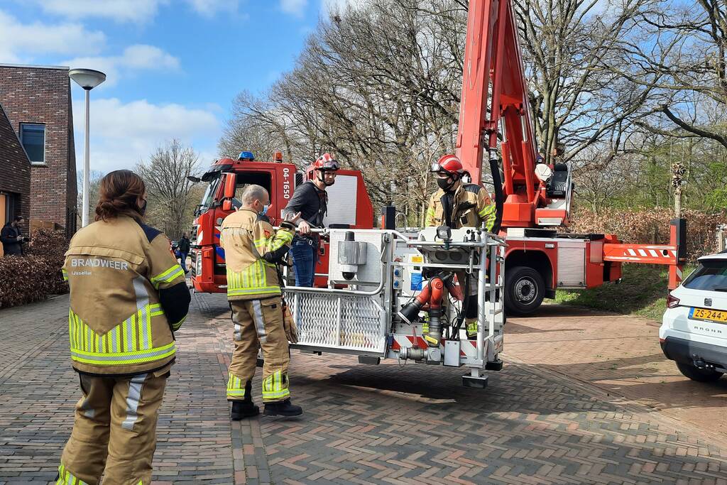 Twee ara's uit boom gered