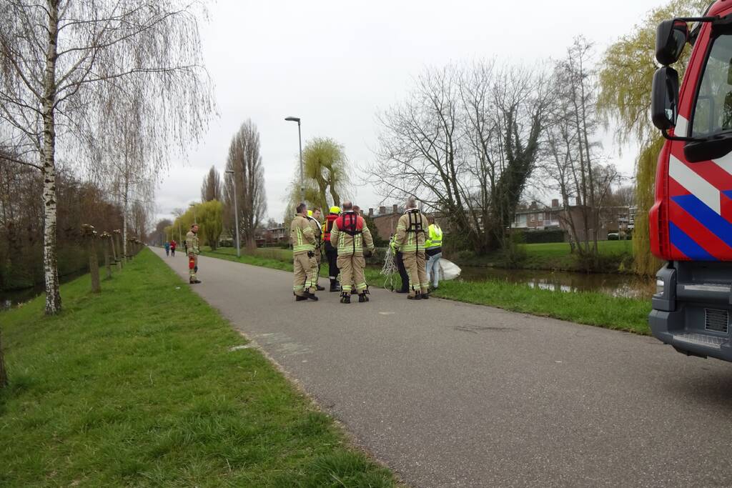Reddingsactie voor zwaan met visdraad