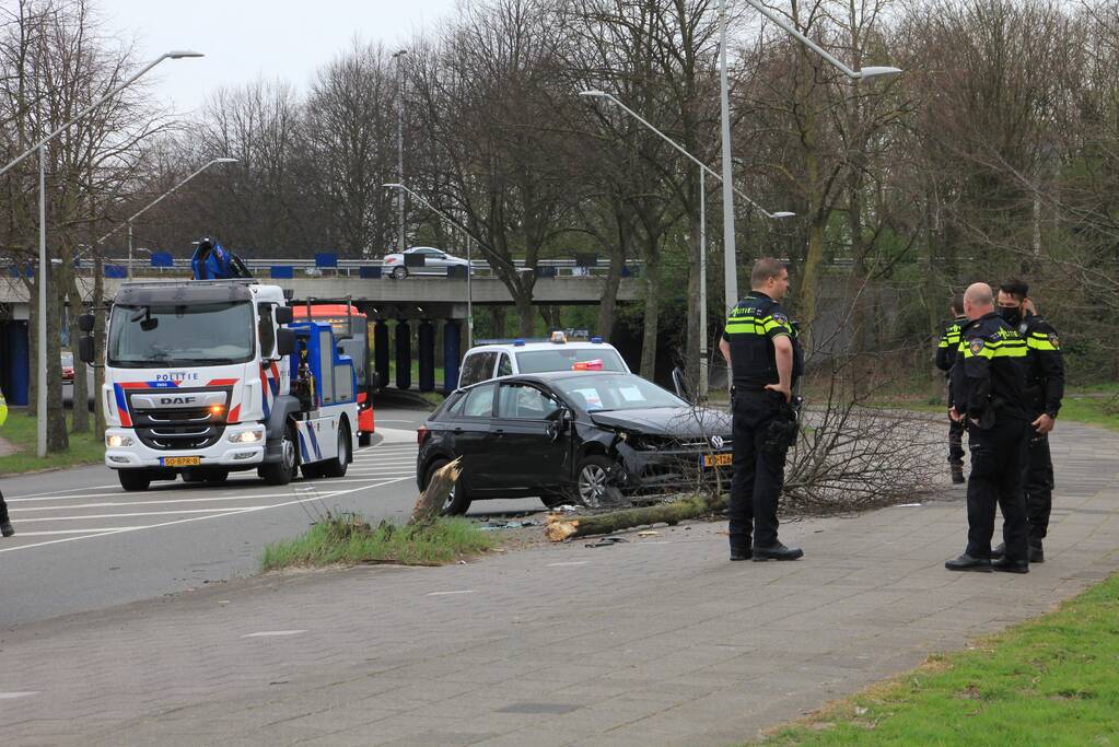 Auto botst tegen boom aan
