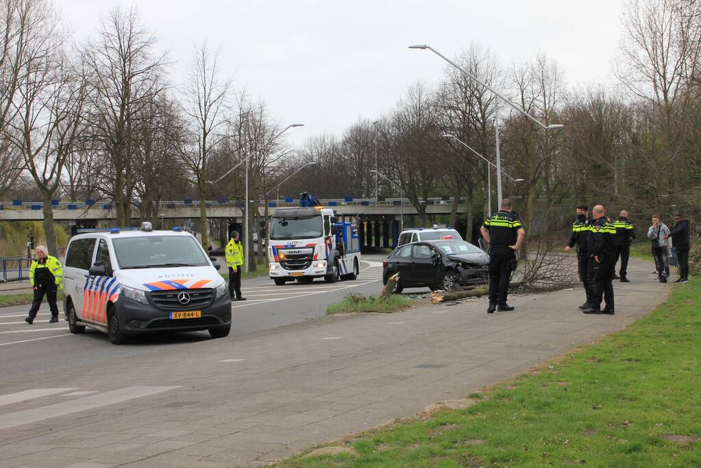Auto botst tegen boom aan