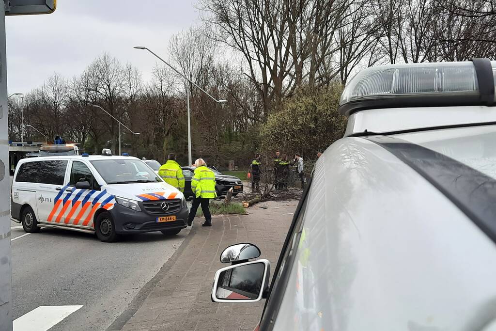 Auto botst tegen boom aan