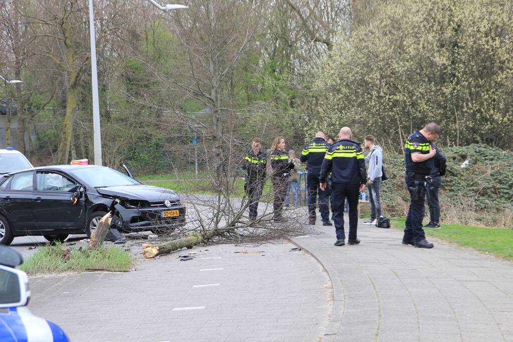 Auto botst tegen boom aan