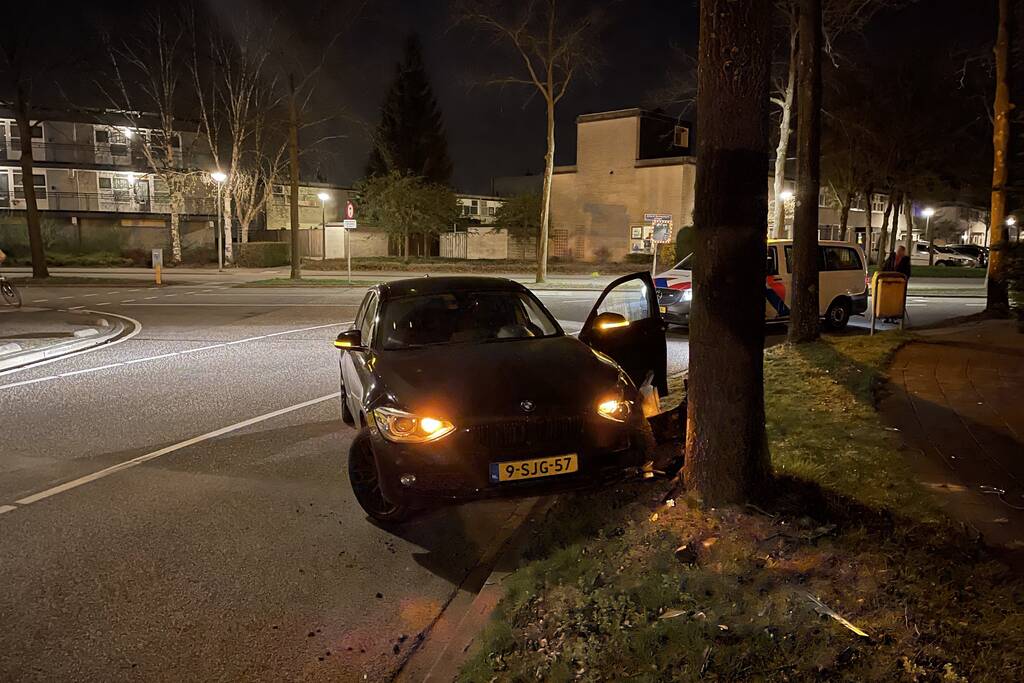 Auto vliegt uit de bocht en knalt tegen boom