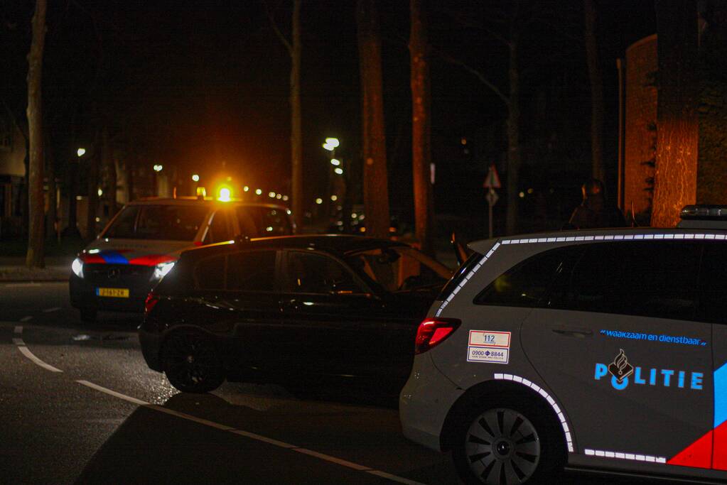 Auto vliegt uit de bocht en knalt tegen boom