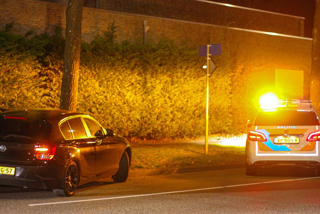 Auto vliegt uit de bocht en knalt tegen boom
