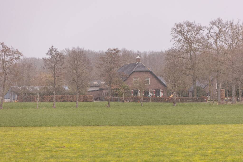 250 geiten overleden bij brand in stal