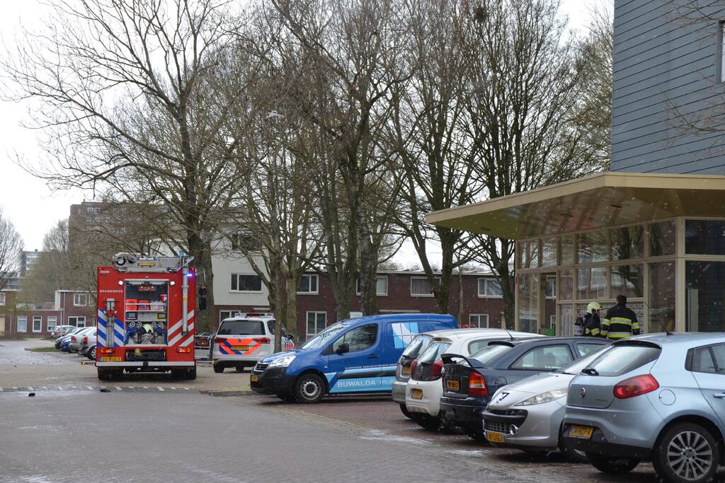 Brand in flatwoning