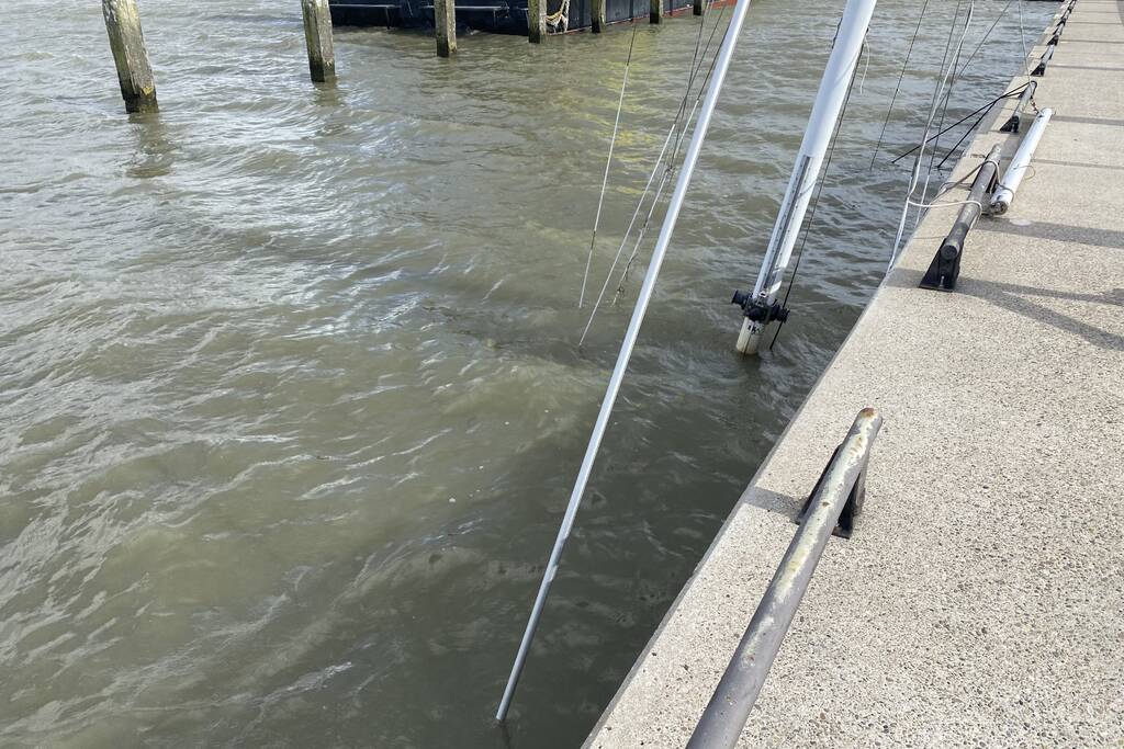 Zeilboot gezonken in Oostvaardersdiep