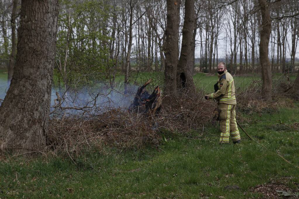Brandweer blust brandende boom