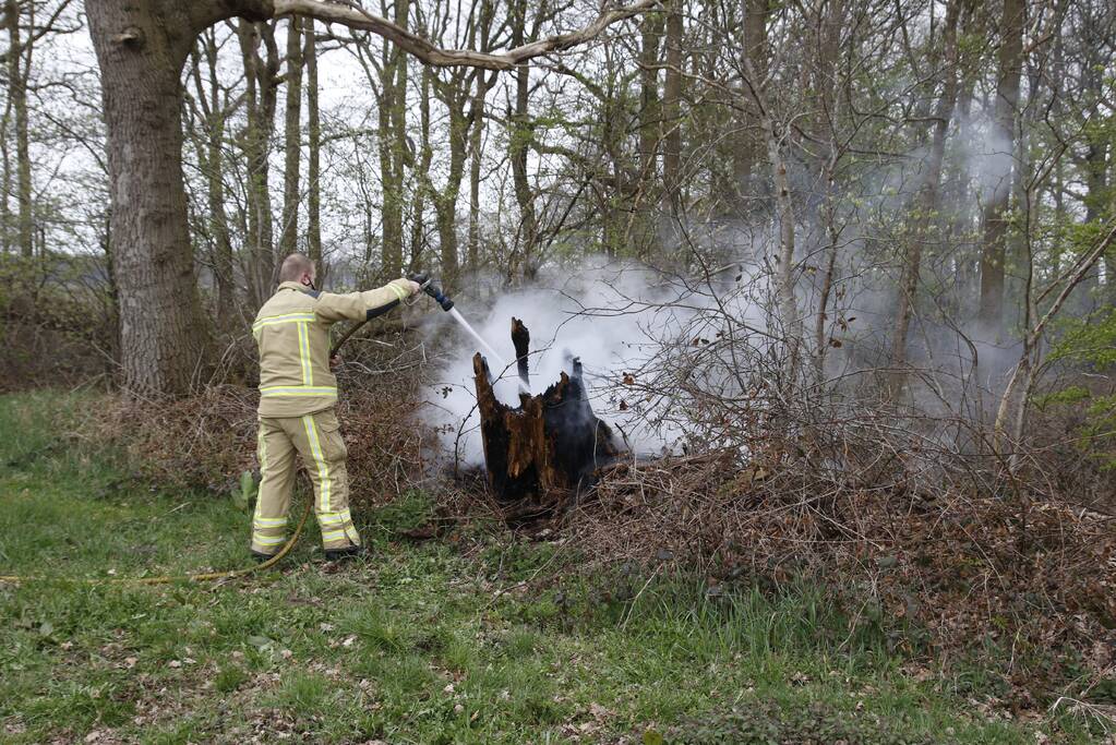 Brandweer blust brandende boom