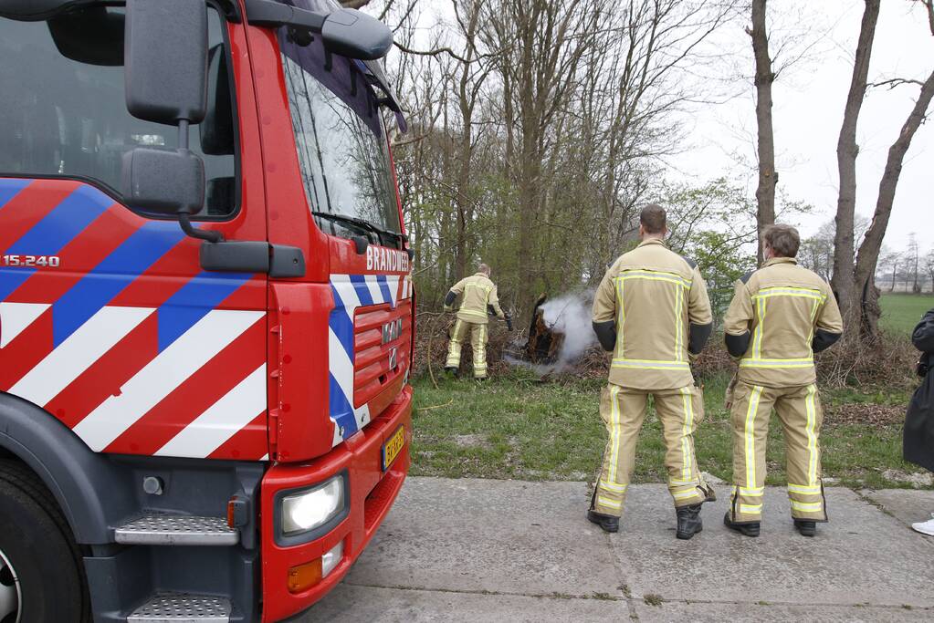 Brandweer blust brandende boom