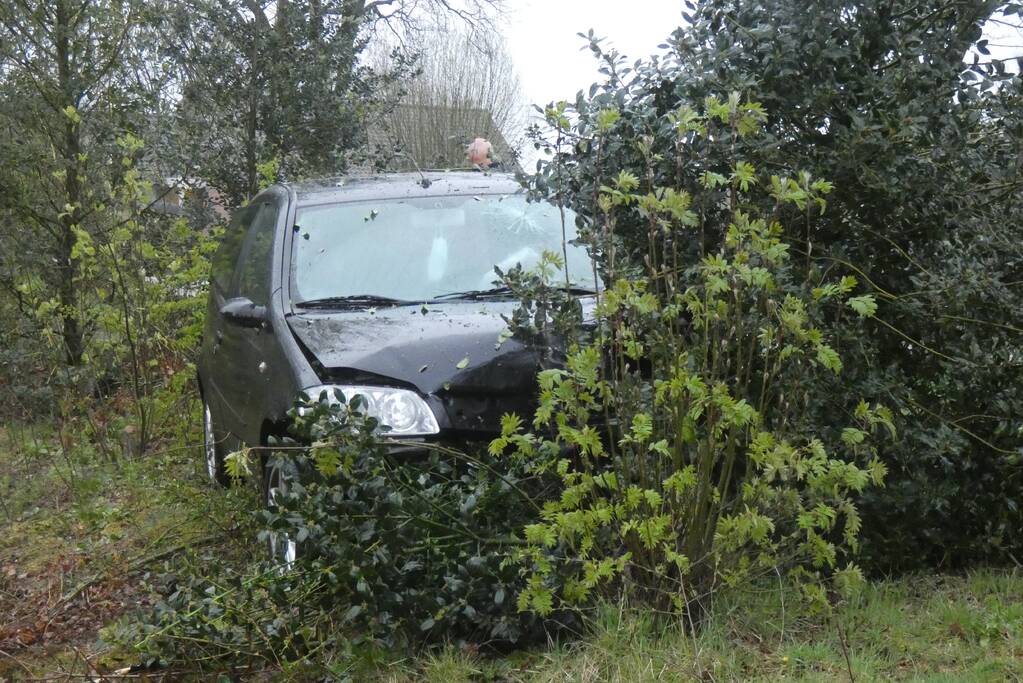 Bestuurder verliest macht over het stuur en belandt in bosschage