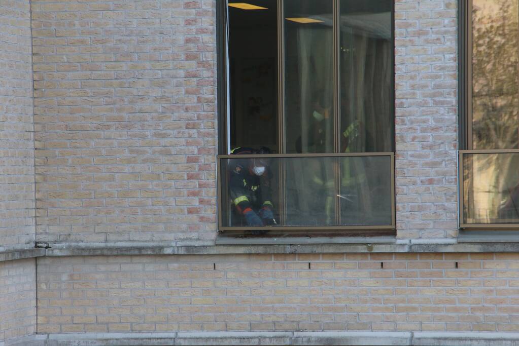 Meerkoet vast tussen raam en balustrade