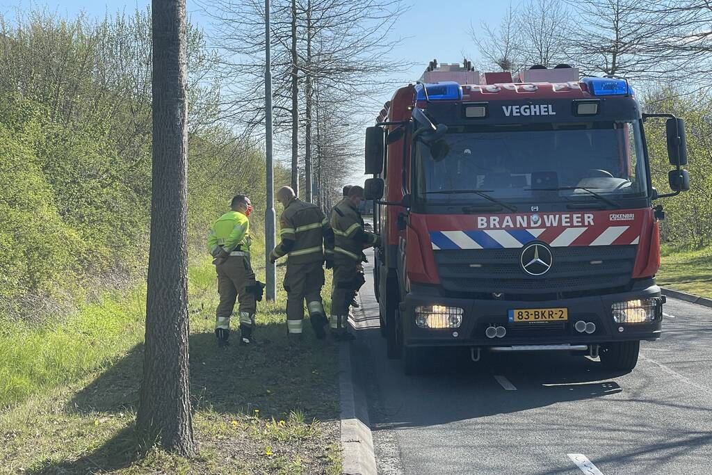 Jonge eendjes in put gevallen