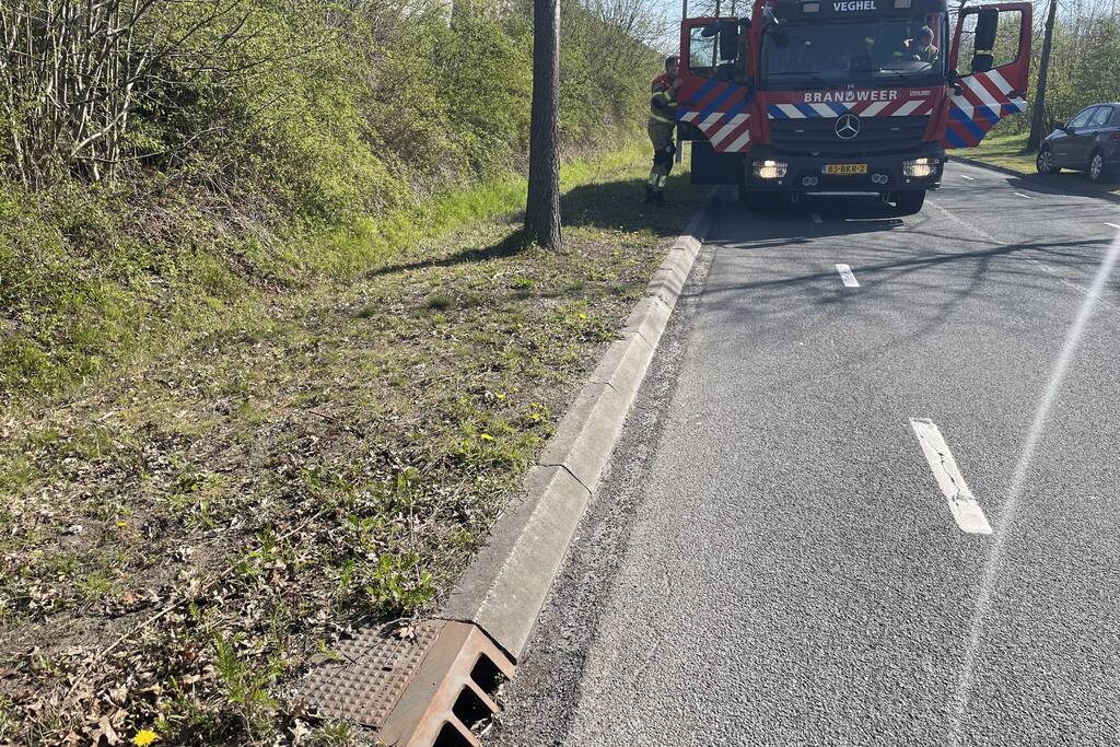 Jonge eendjes in put gevallen