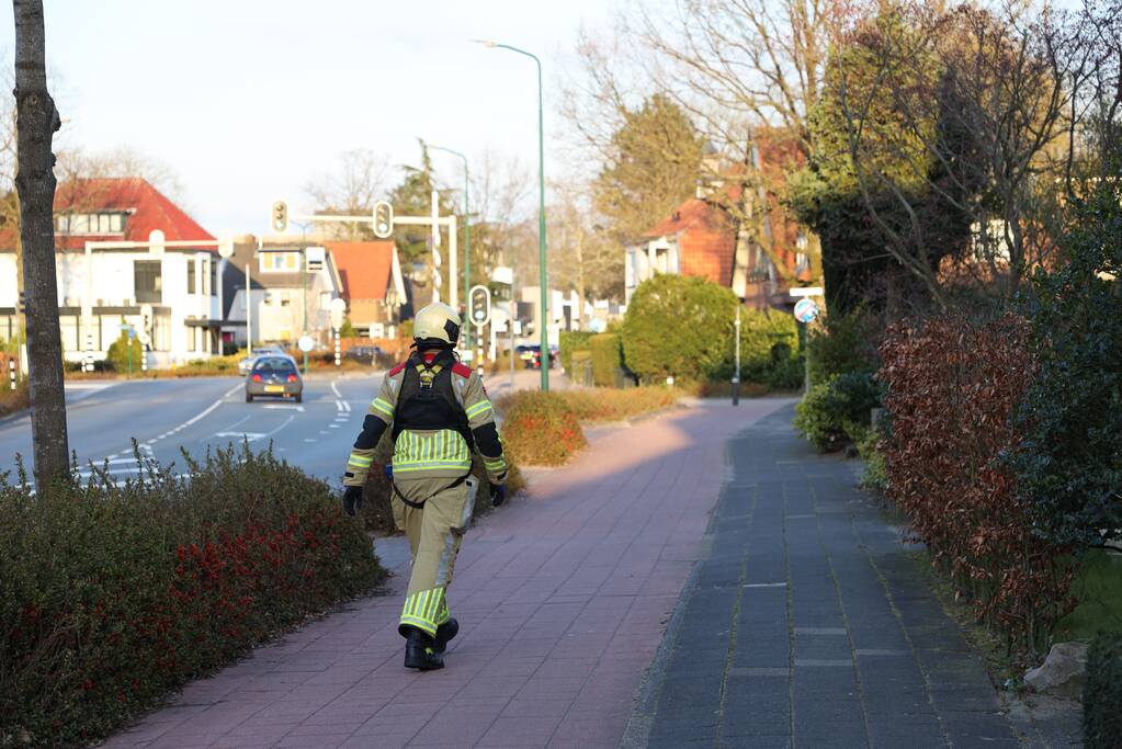 Brandweer en dierenambulance doen poging om vastzittende vogel te bevrijden