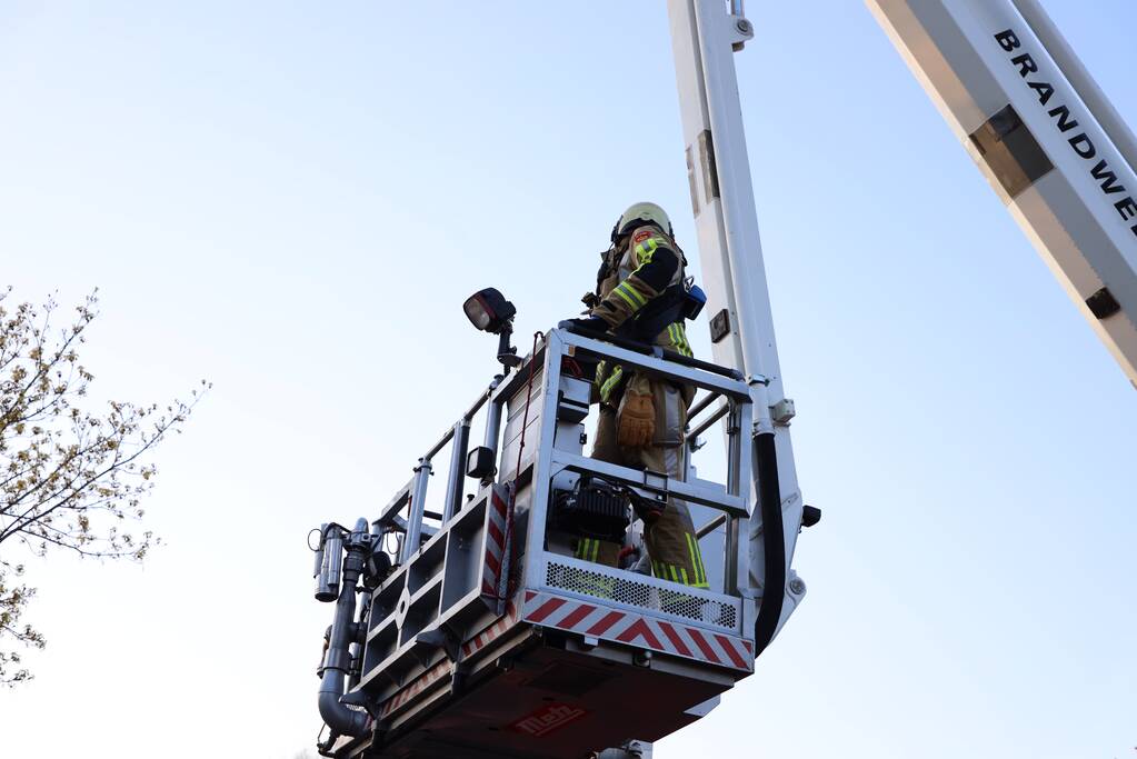 Brandweer en dierenambulance doen poging om vastzittende vogel te bevrijden