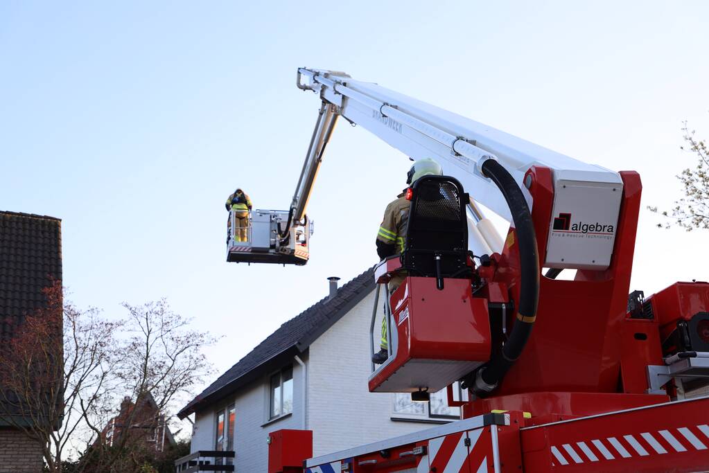 Brandweer en dierenambulance doen poging om vastzittende vogel te bevrijden