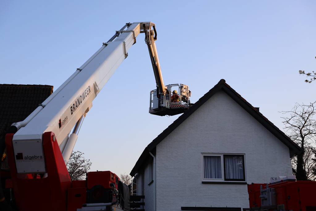 Brandweer en dierenambulance doen poging om vastzittende vogel te bevrijden
