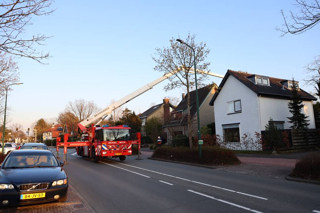 Brandweer en dierenambulance doen poging om vastzittende vogel te bevrijden