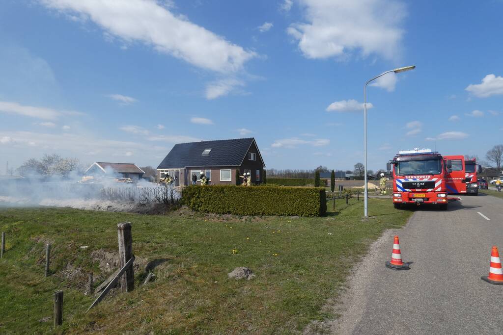 Coniferenhaag in brand