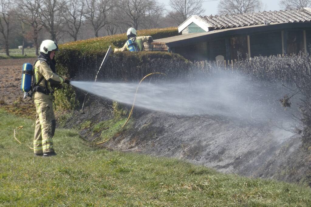 Coniferenhaag in brand