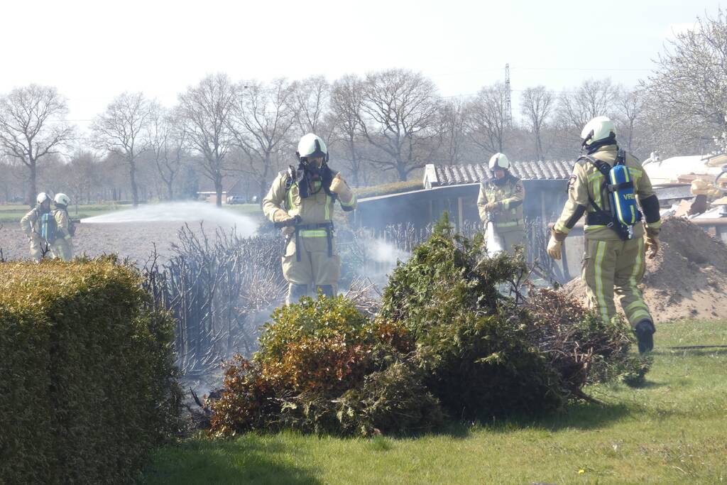 Coniferenhaag in brand