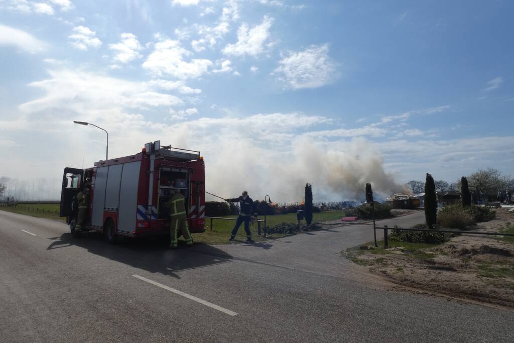 Coniferenhaag in brand