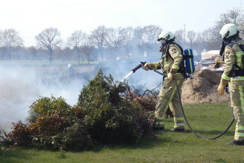 Coniferenhaag in brand