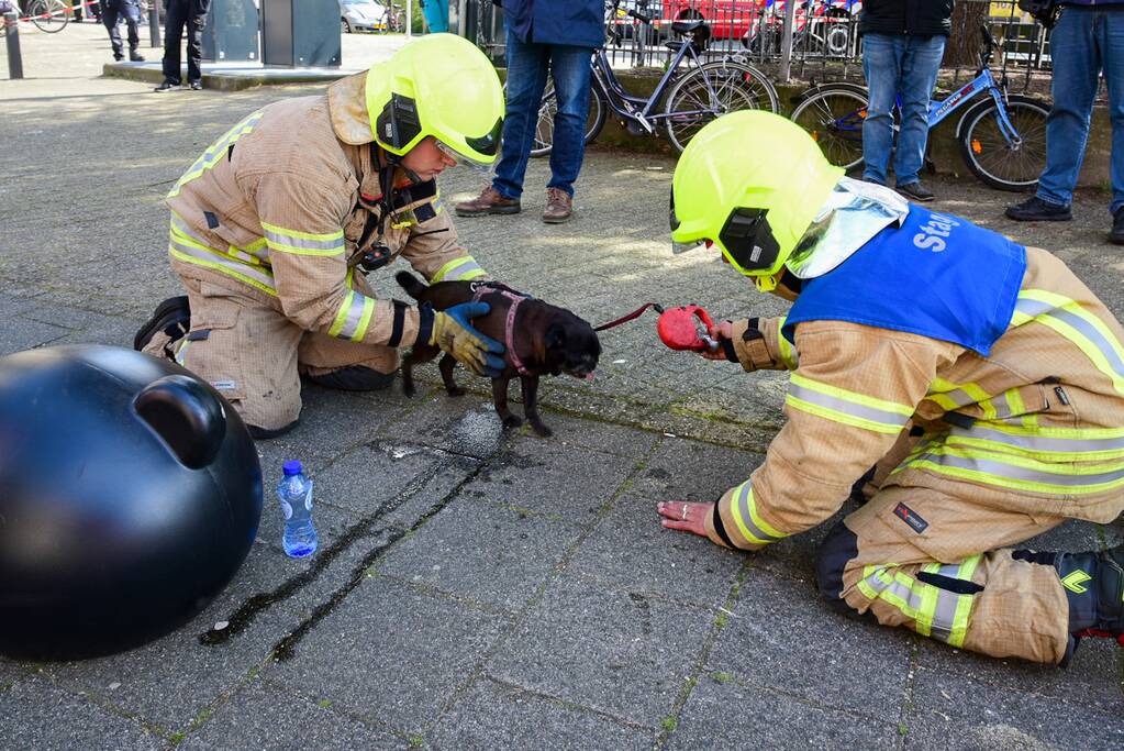 Meerdere bewoners door brand opgesloten in woningen