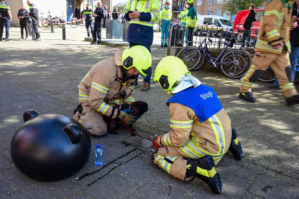 Meerdere bewoners door brand opgesloten in woningen