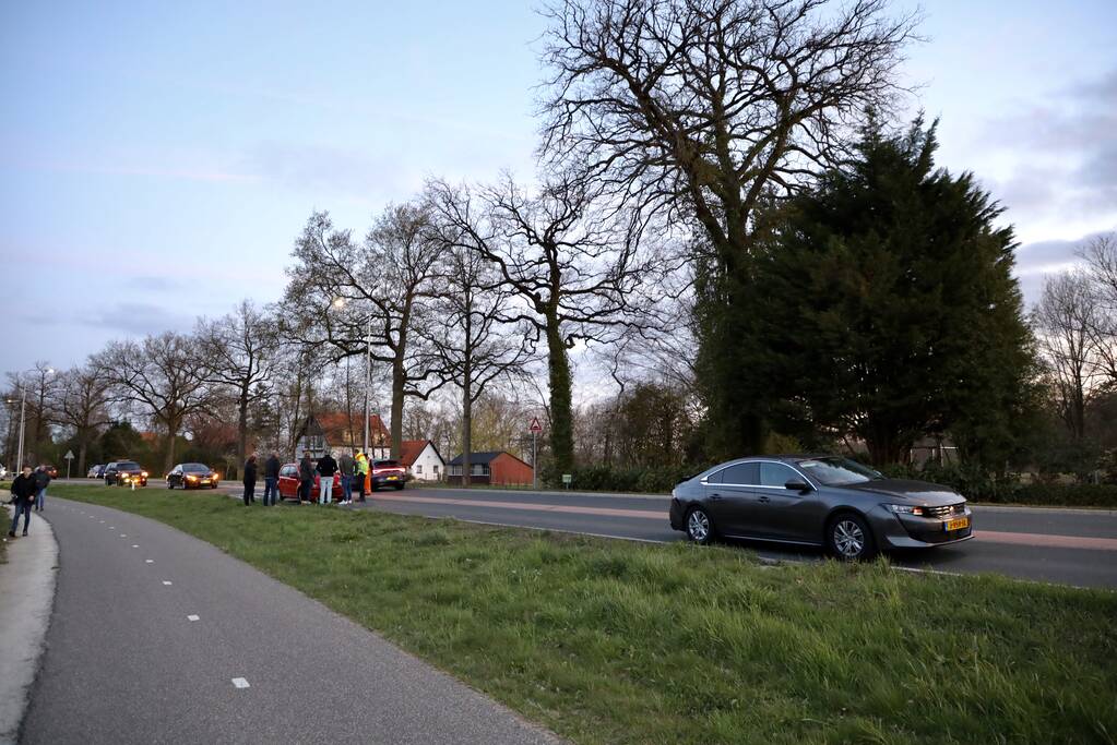 Kopstaart botsing door overstekend eendje